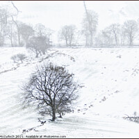 Buy canvas prints of A bleak winter day by David McCulloch