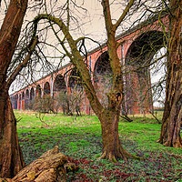 Buy canvas prints of Trees by the viaduct by David McCulloch