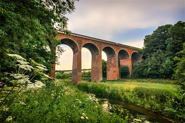 Eynsford viaduct Picture Board by Ian Hufton
