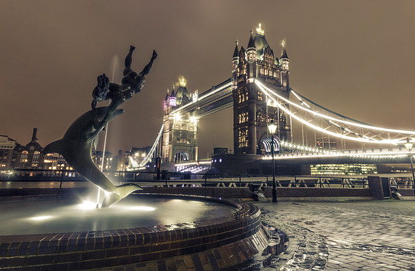 Tower Bridge and Dolphin Picture Board by Ian Hufton