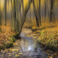 Buy canvas prints of Autumn in Blean by Ian Hufton