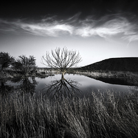Buy canvas prints of Elmley Marshes by Ian Hufton