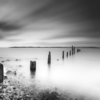 Buy canvas prints of  Seasalter in Mono by Ian Hufton