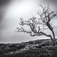 Buy canvas prints of  Postling Downs by Ian Hufton