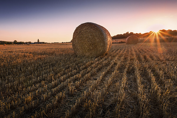  Hay bales at Sunset Picture Board by Ian Hufton