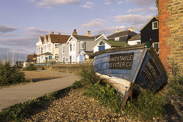  Whitstable Oyster Co Picture Board by Ian Hufton