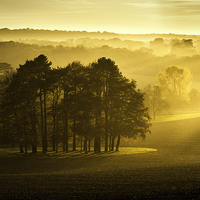 Buy canvas prints of The Downs by Ian Hufton