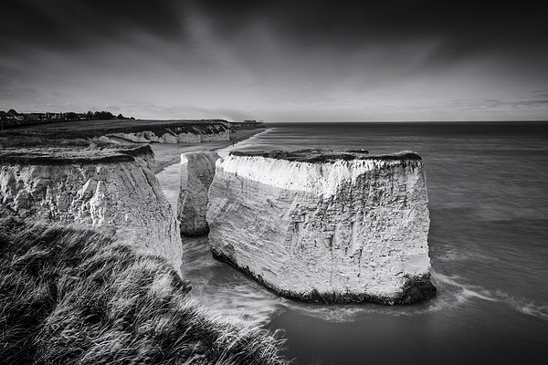   Botany Bay Picture Board by Ian Hufton