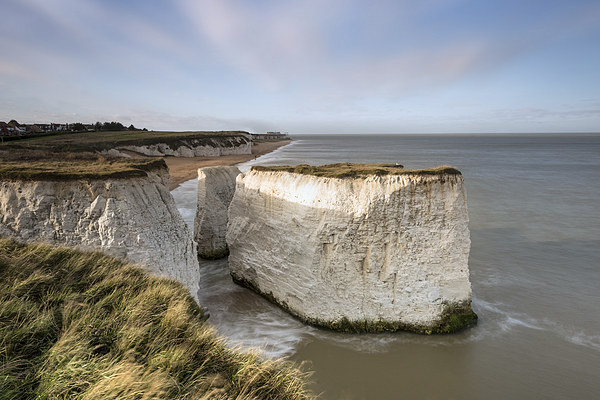   Botany Bay Picture Board by Ian Hufton