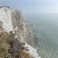Buy canvas prints of White Cliffs of Dover by Ian Hufton