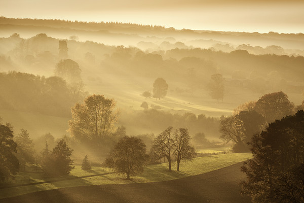 The downs in Autumn Picture Board by Ian Hufton