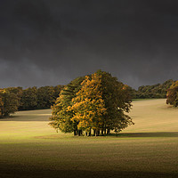 Buy canvas prints of Autumn on th Downs by Ian Hufton