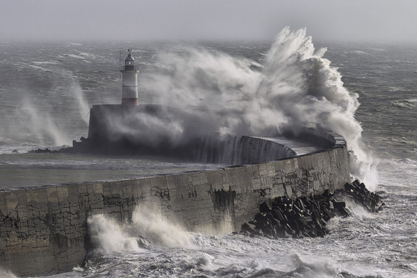 Newhaven Lighthouse Picture Board by Ian Hufton