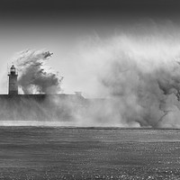 Buy canvas prints of Newhaven Lighthouse by Ian Hufton
