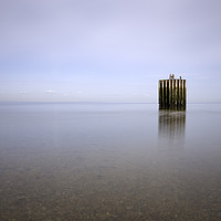 Buy canvas prints of Whitstable Dolphin by Ian Hufton