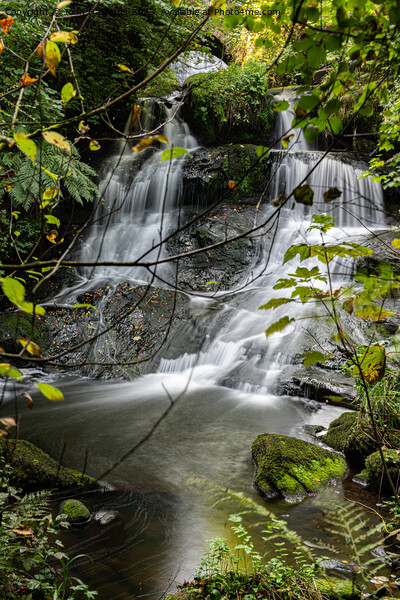 Cascading Waterfall's Tranquil Beauty Picture Board by John Hastings