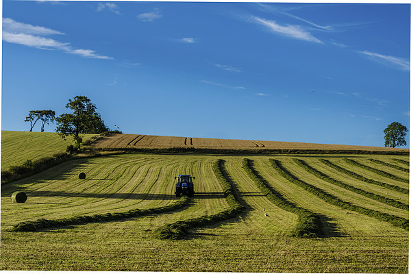 Harvest Landscape Picture Board by John Hastings