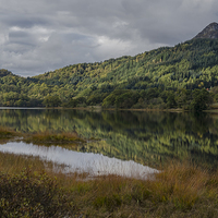 Buy canvas prints of  Loch Achray Relection by John Hastings