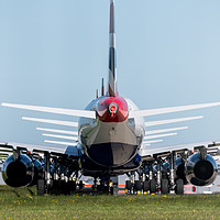 Buy canvas prints of Grounded Wings by John Hastings