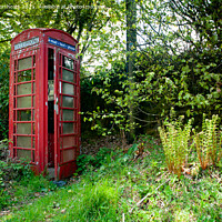 Buy canvas prints of Heatree Cross Red Telephone Box Dartmoor by Helen Northcott