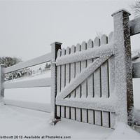 Buy canvas prints of Snow Covered Gate by Helen Northcott