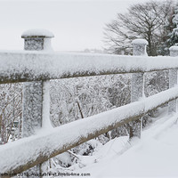 Buy canvas prints of Snow Covered Fence by Helen Northcott