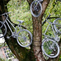 Buy canvas prints of Bikes in a Tree by Helen Northcott