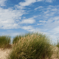Buy canvas prints of Formby Sand Dunes & Sky by Helen Northcott