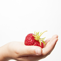 Buy canvas prints of A Strawberry in the Hand by Helen Northcott
