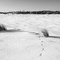Buy canvas prints of Footprints in the Snow i by Helen Northcott