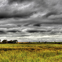 Buy canvas prints of  Barley Field. by Jim Moran