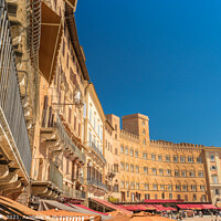 Buy canvas prints of Surrounding the Siena Square by Nick Hirst