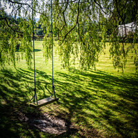 Buy canvas prints of Hidden Swing by Nick Hirst