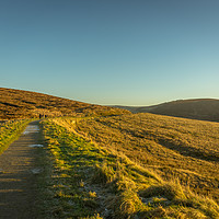 Buy canvas prints of Sunlit path by Nick Hirst