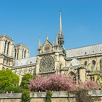 Buy canvas prints of Notre Dame in the Spring by Nick Hirst