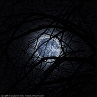 Buy canvas prints of Blue Moonglow. by Gary Barratt