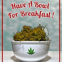 Buy canvas prints of Have A Bowl For Breakfast! by Gary Barratt