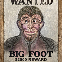 Buy canvas prints of Big Foot Wanted Dead Or Alive! by Gary Barratt