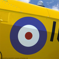 Buy canvas prints of R.A.F. Circle On Yellow Canvas by Gary Barratt