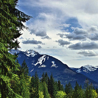 Buy canvas prints of Canadian Rocky Mountain Woodlands by Gary Barratt