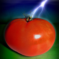 Buy canvas prints of  Big Red Tomato. by Gary Barratt