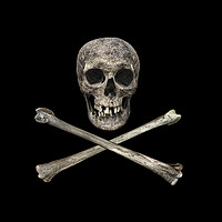 Buy canvas prints of A Pirate's Bones by Gary Barratt
