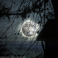 Buy canvas prints of Spooky Moon Glow Silhouettes by Gary Barratt