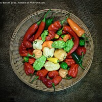 Buy canvas prints of Hot Peppers In A Basket by Gary Barratt