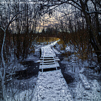 Buy canvas prints of An Icy Winter's Path. by Gary Barratt