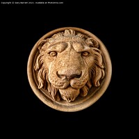 Buy canvas prints of Lion Head Face by Gary Barratt