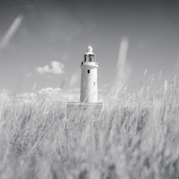 Buy canvas prints of  Keyhaven Lighthouse, Hampshire by Adam Payne