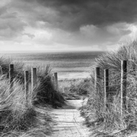 Buy canvas prints of  Running to the Beach by Adam Payne