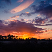 Buy canvas prints of Wintry Fens Sunset  by Adam Payne