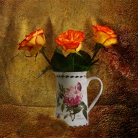 Buy canvas prints of Roses by Fine art by Rina